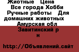 Жиотные › Цена ­ 50 - Все города Хобби. Ручные работы » Для домашних животных   . Амурская обл.,Завитинский р-н